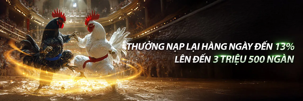 Hình ảnh chính blog new8 nhà cái, thể hiện sự sôi động của thế giới cá cược trực tuyến với màu xanh và vàng